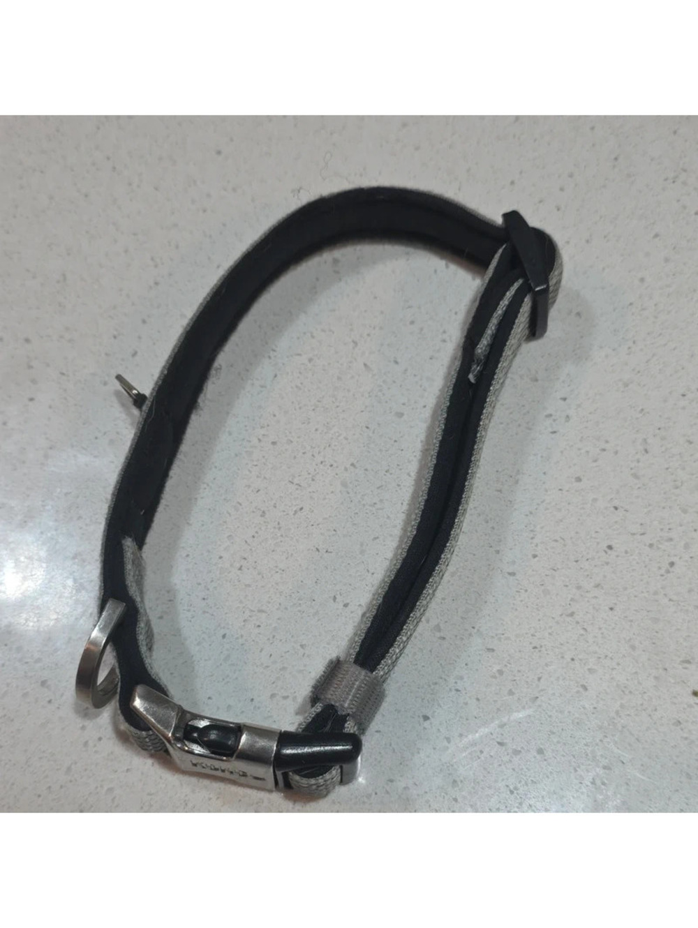 KONG Adjustable Dog Collar Gray and Black